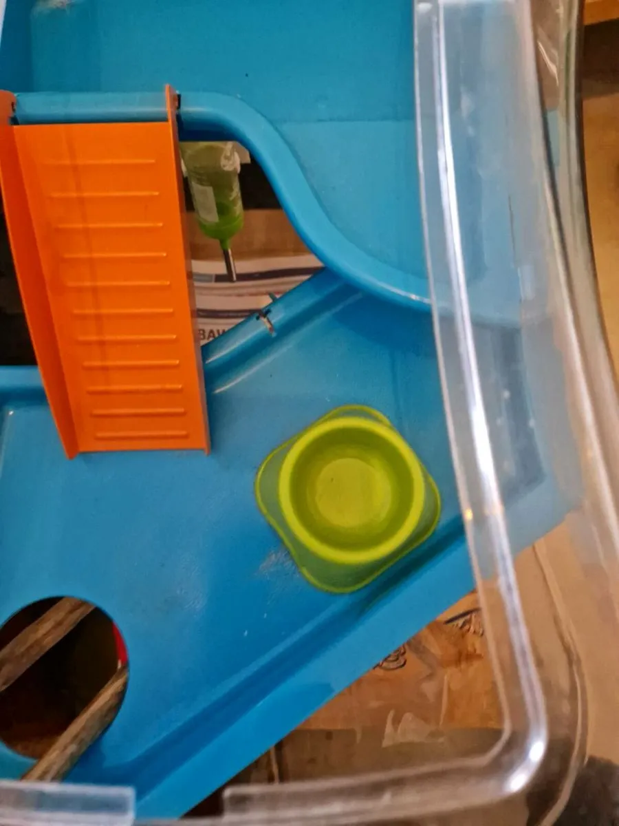 Hamster cage - Image 2