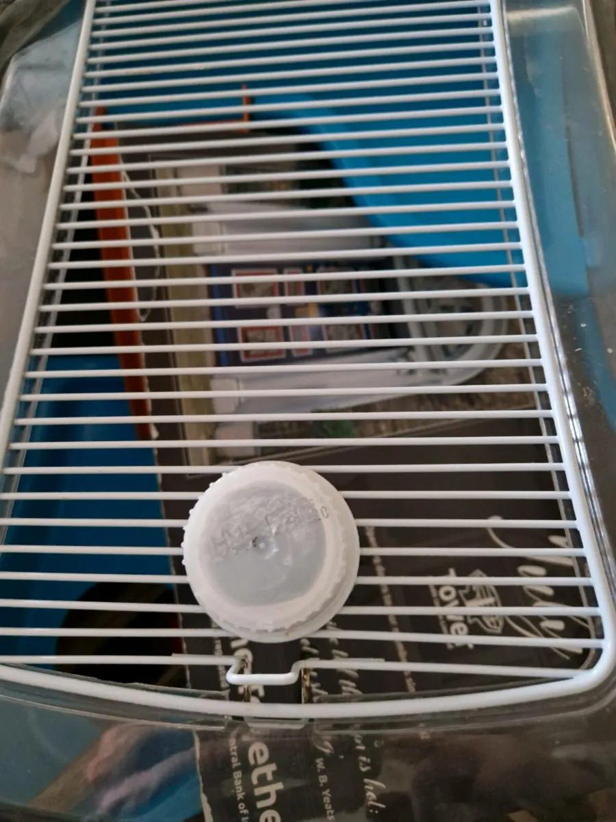 Hamster cage - Image 4