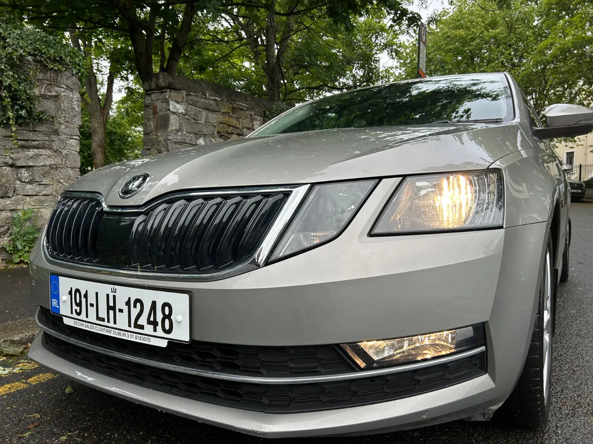 2019 SKODA OCTAIVA TSI PARKING CAMERA SAT NAV - Image 2