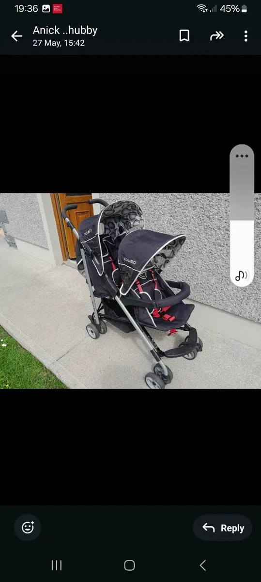 Double Buggy - Image 4