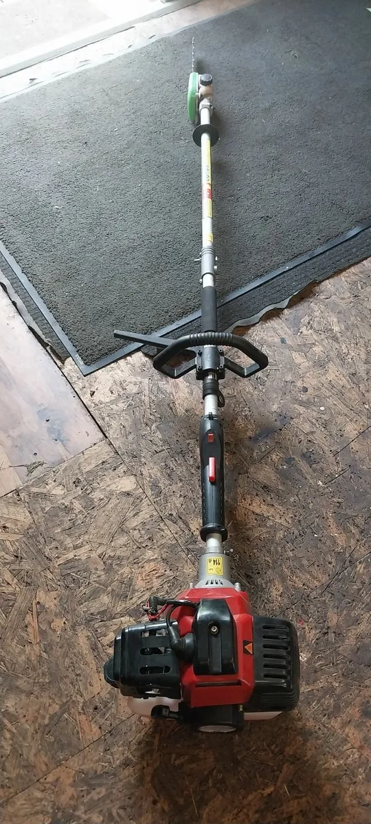 Branch saw - Image 1