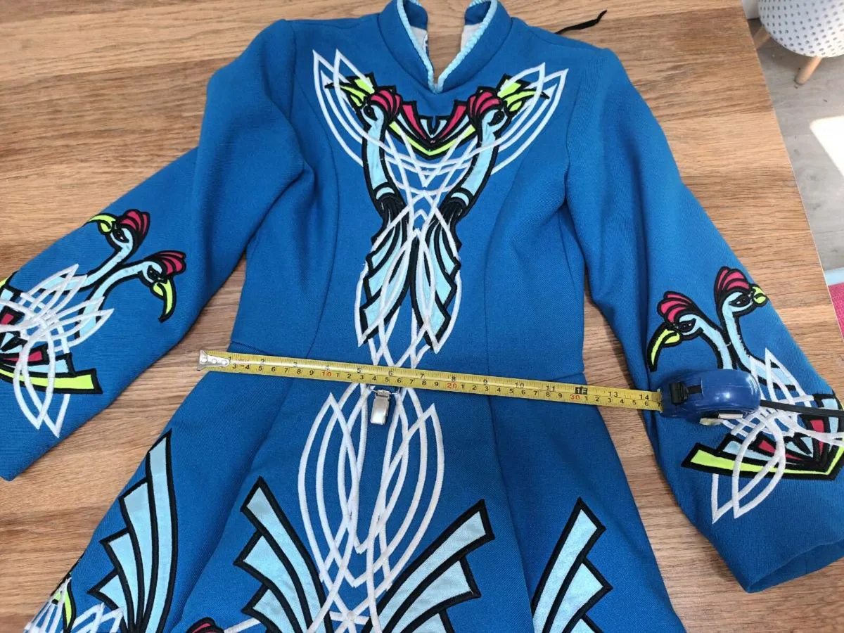 Irish Dancing Dress and shoes - Image 2