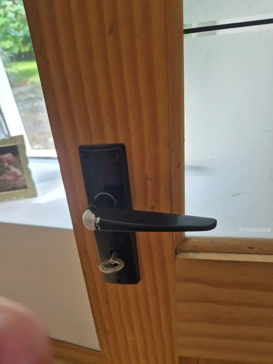 Internal door - Image 2