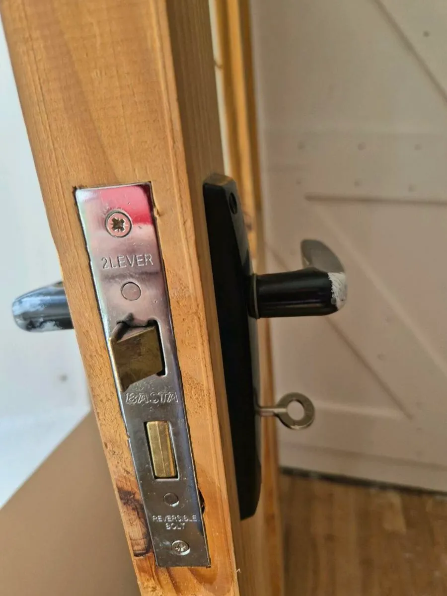 Internal door - Image 3