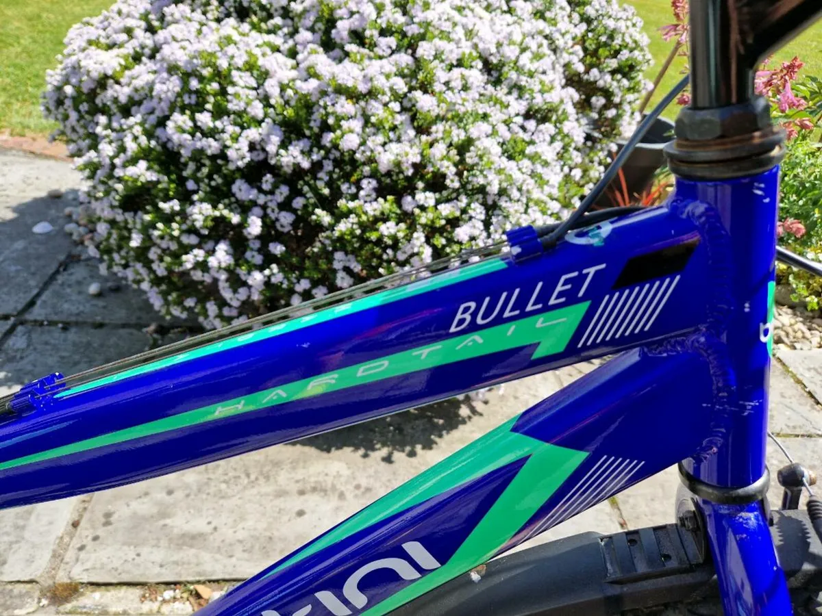Bentini Bullet 24″ - Image 3