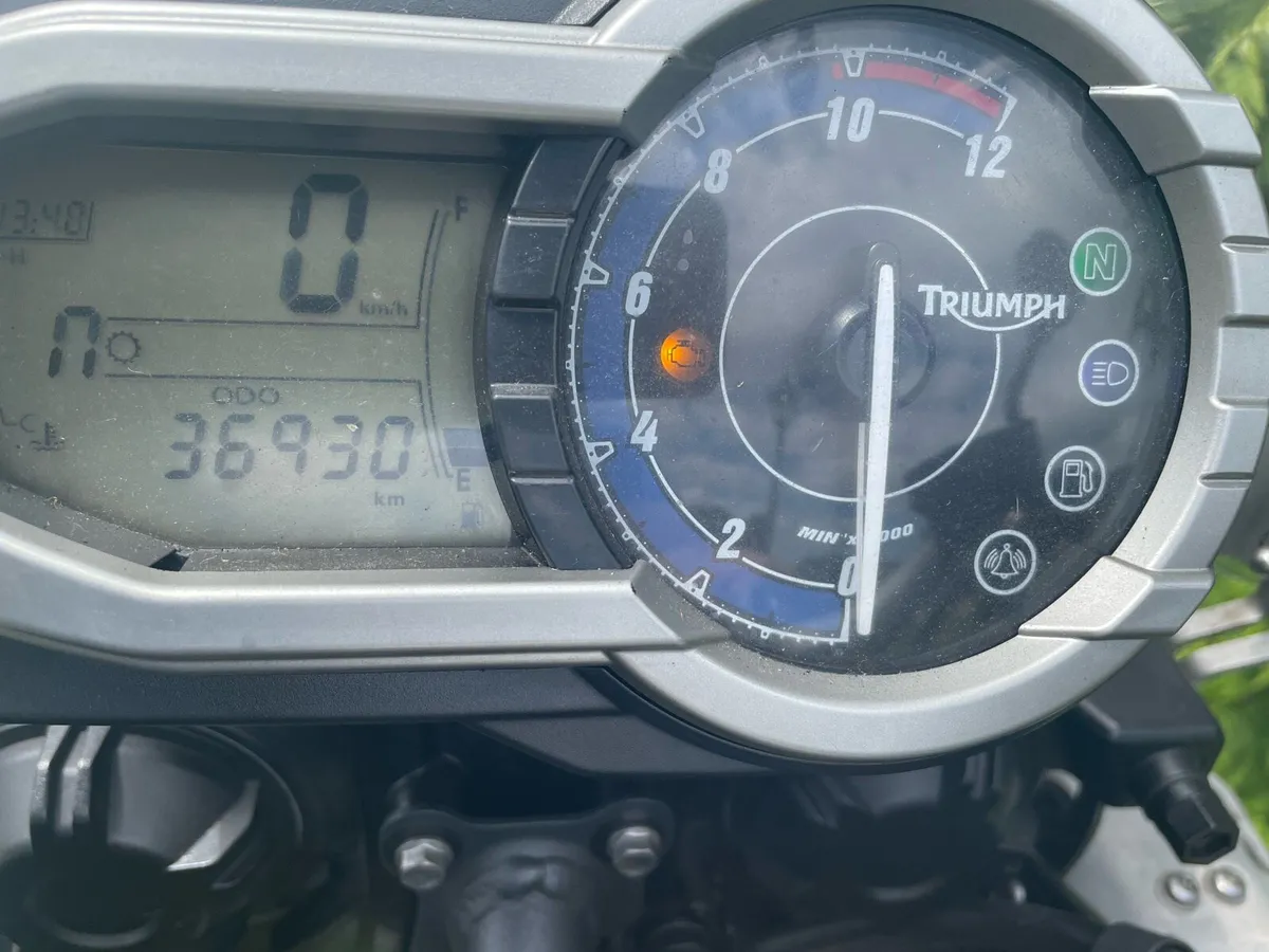 Triumph Other 2013 - Image 2