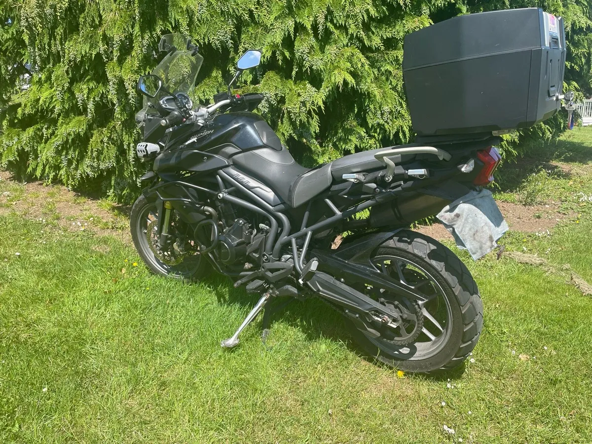 Triumph Other 2013 - Image 3