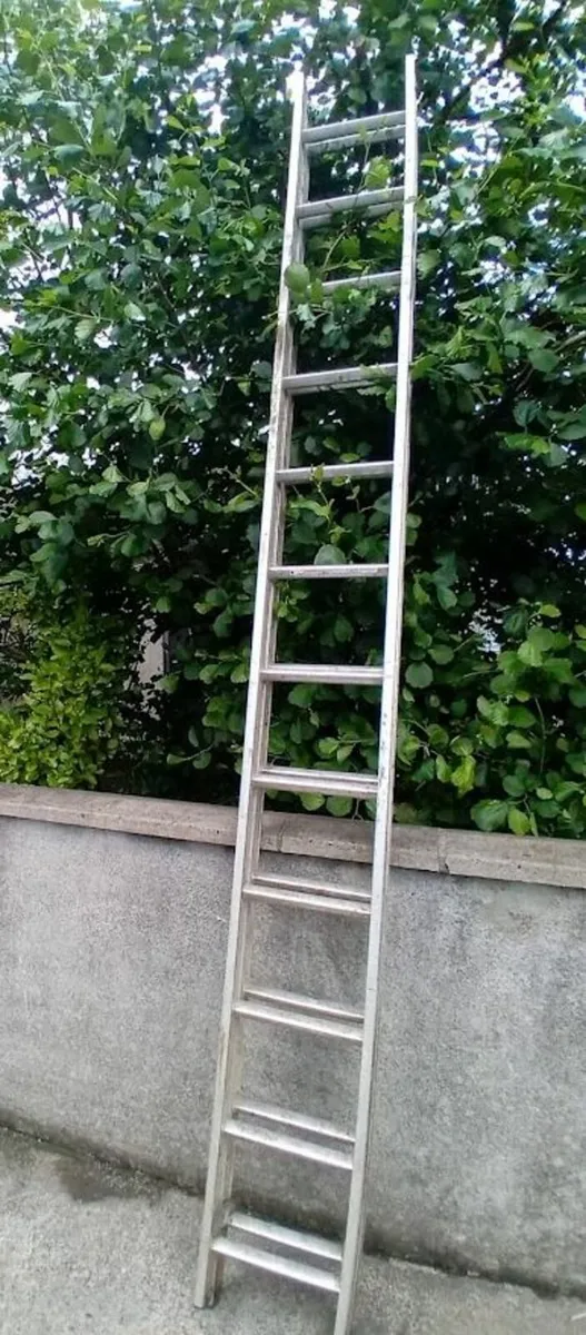 Ladder 20ft - Image 1