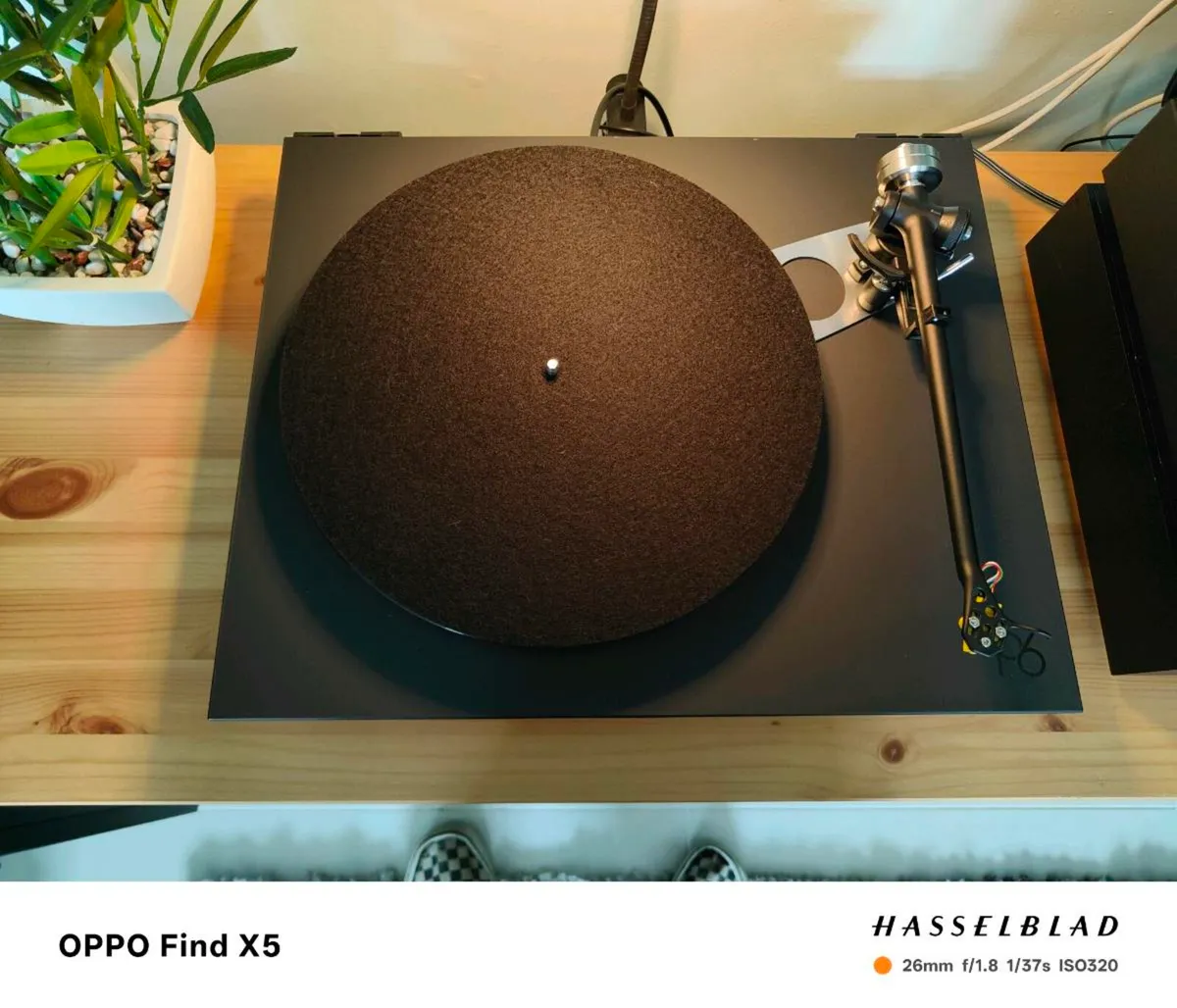 Rega P6 turntable - Image 2