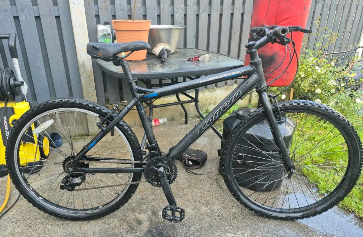 Adult Carrera  Axle hybrid bicycle
21 speed shiman - Image 2