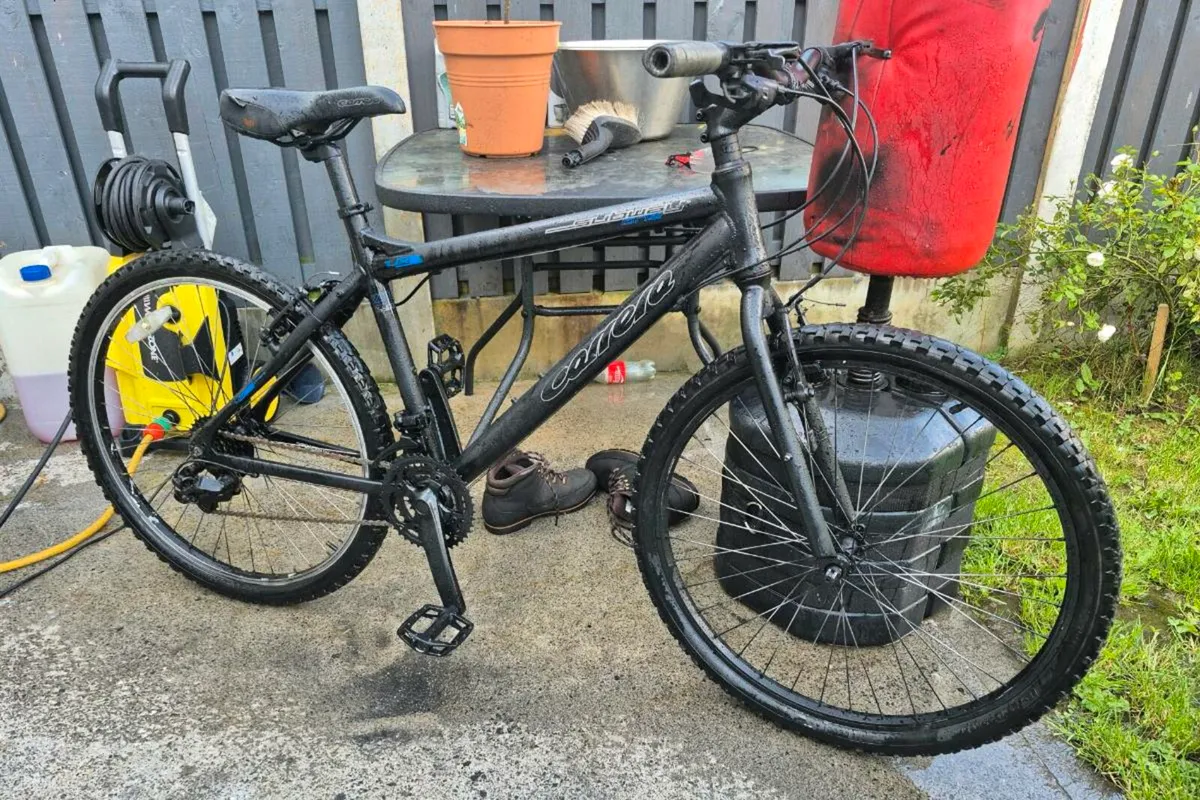 Adult Carrera  Axle hybrid bicycle
21 speed shiman - Image 3