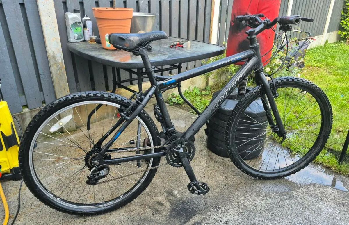 Adult Carrera  Axle hybrid bicycle
21 speed shiman - Image 4