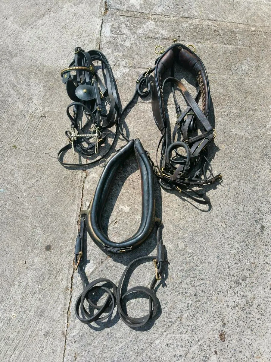 Driving harness