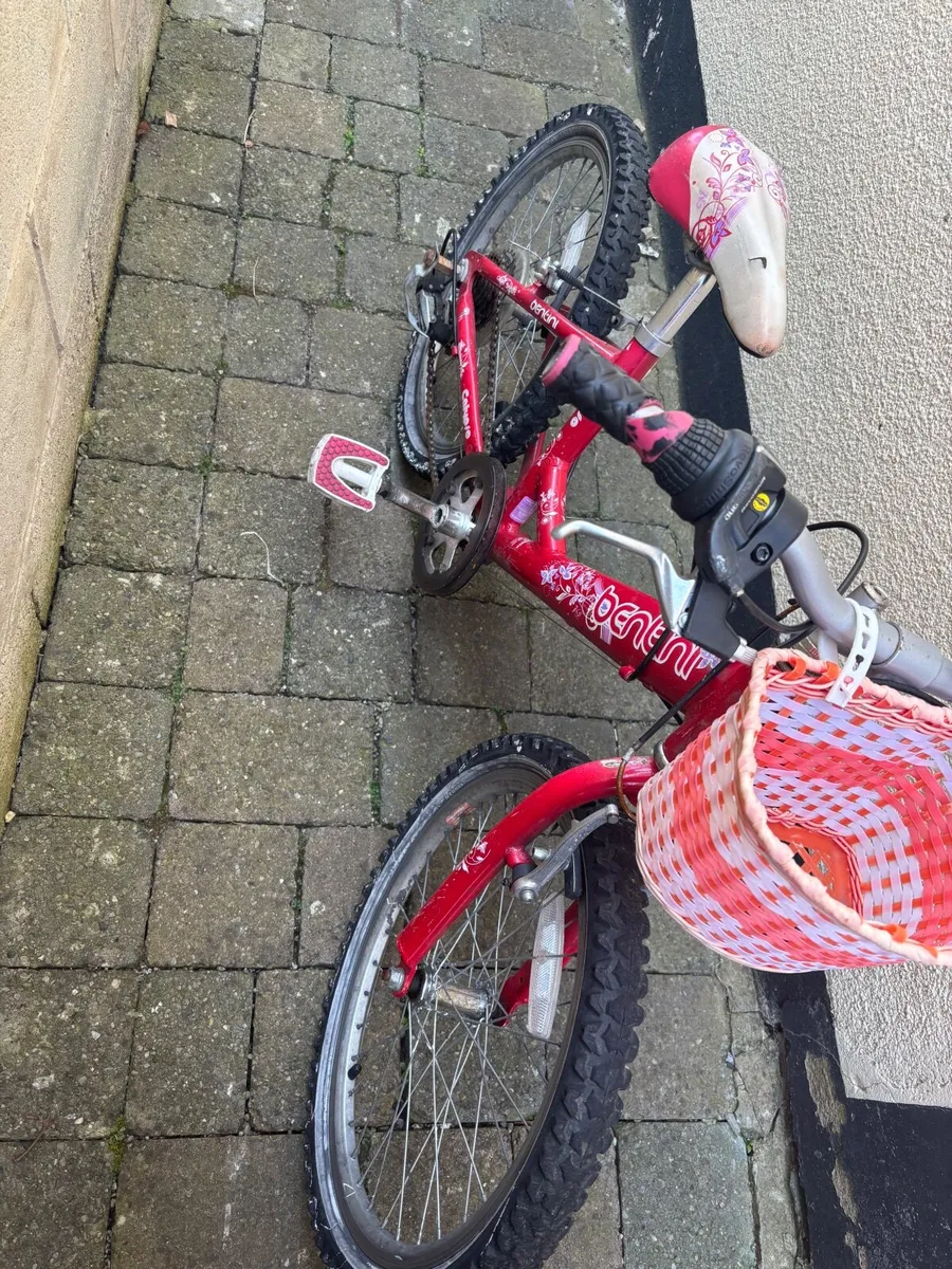 Bike - Image 3