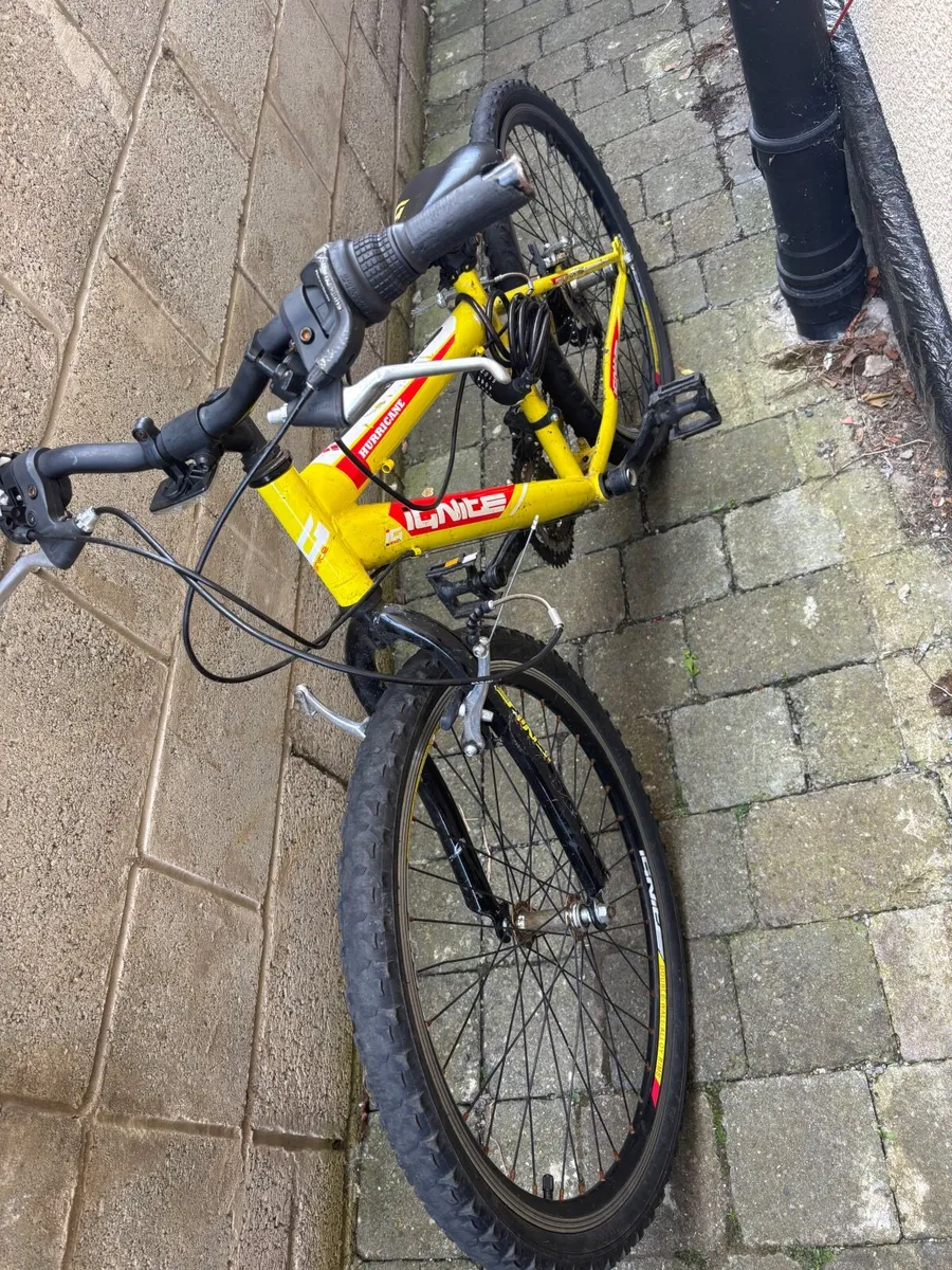 Bike - Image 3