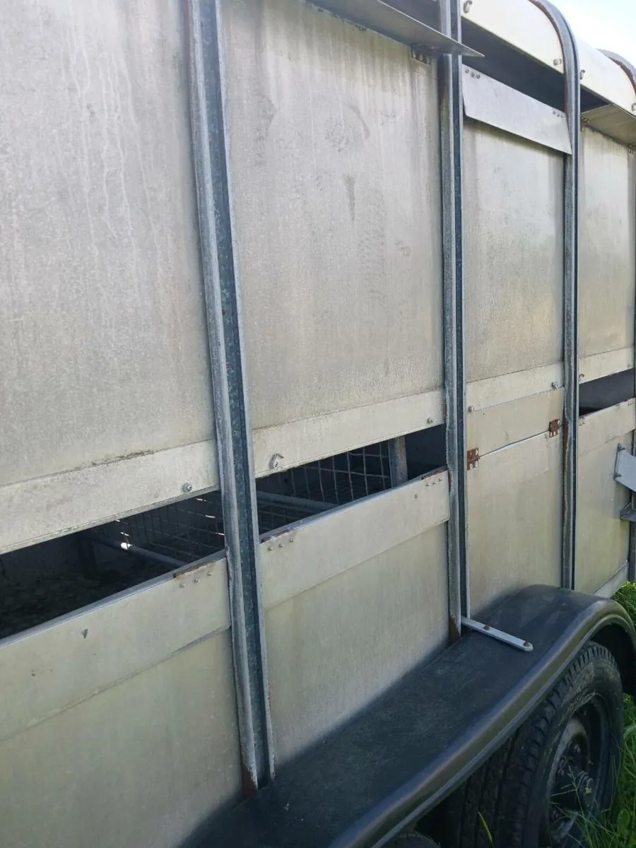 Ifor Williams cattle trailer - Image 2