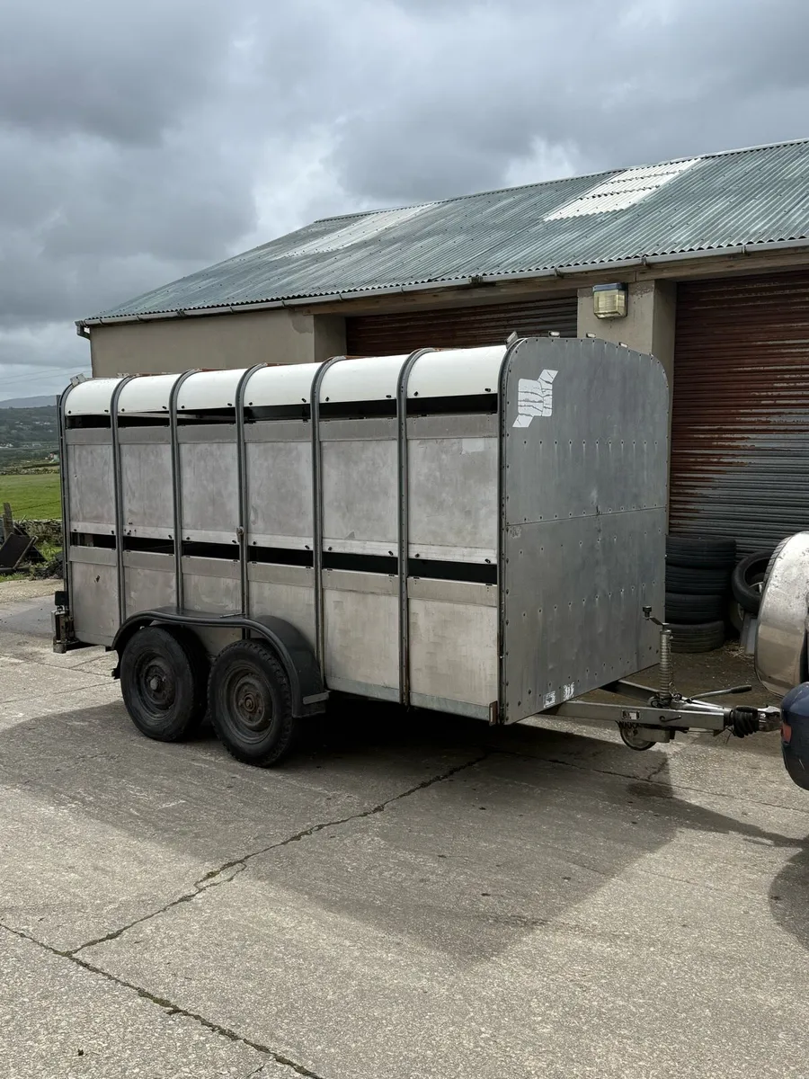 Ifor willams 12x6 - Image 1