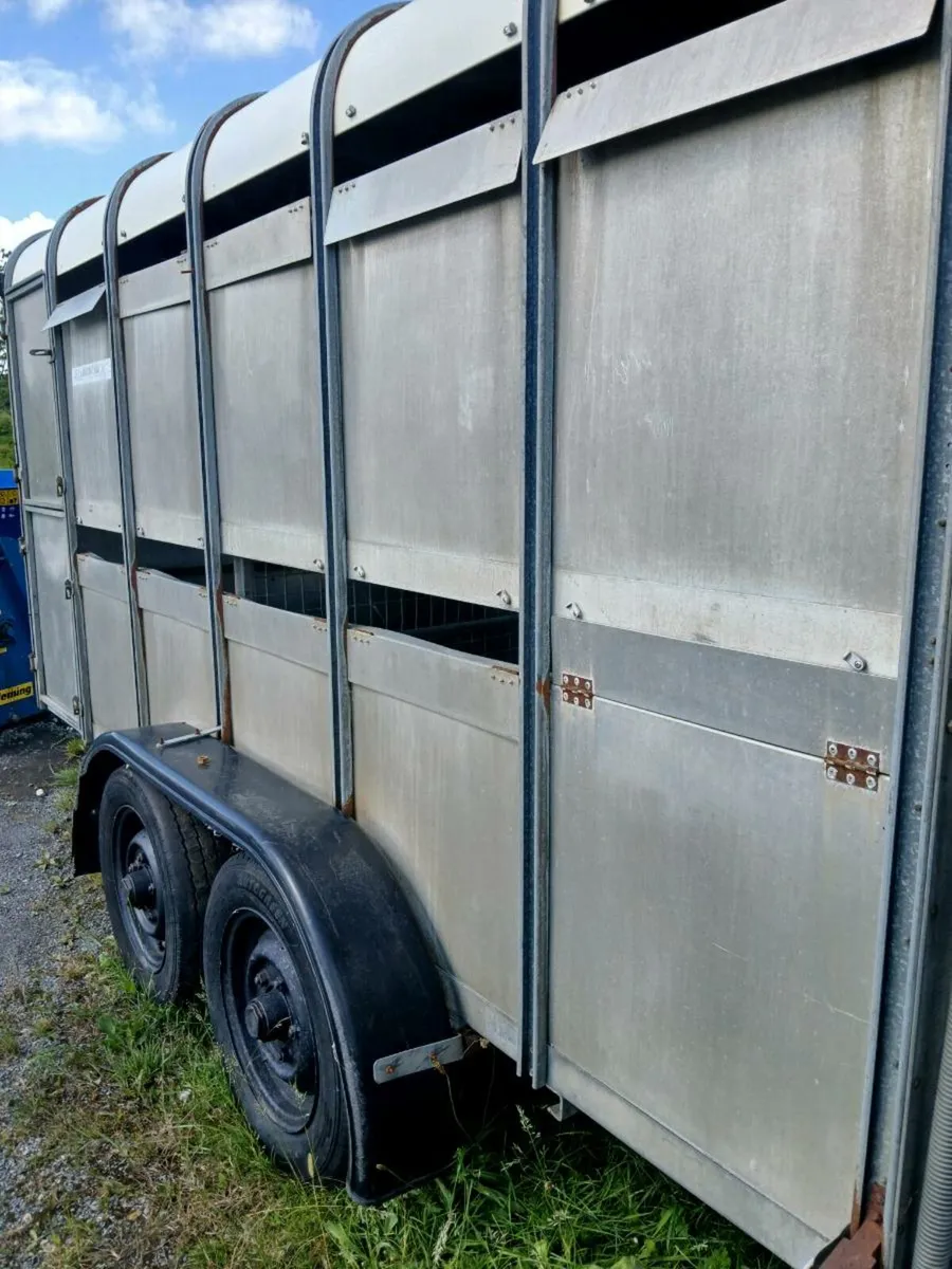 Ifor Williams cattle trailer - Image 4