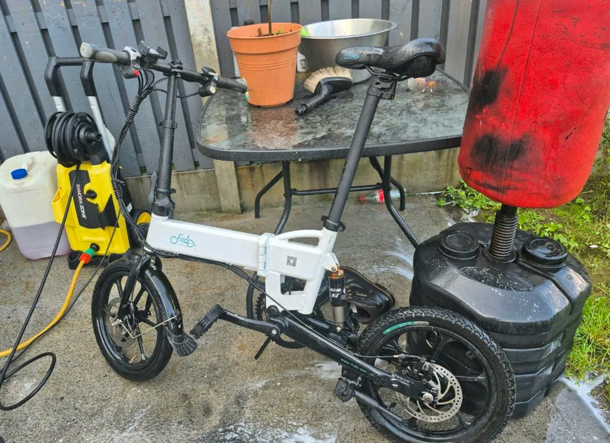 FIIDO D2S Folding Electric Bike everything working - Image 2