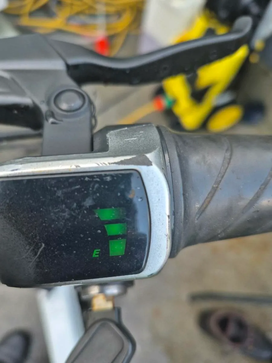 FIIDO D2S Folding Electric Bike everything working - Image 3