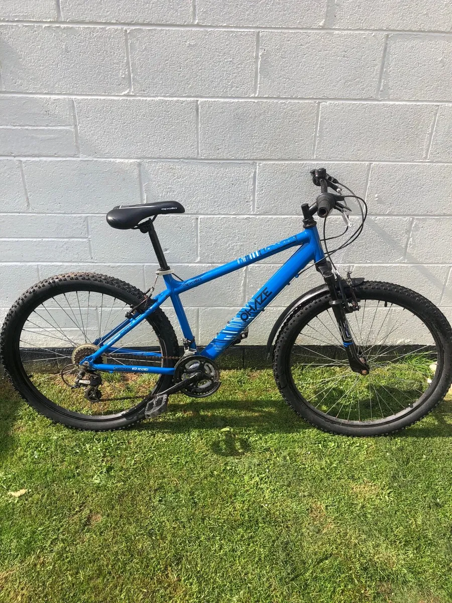 Bike - Image 1