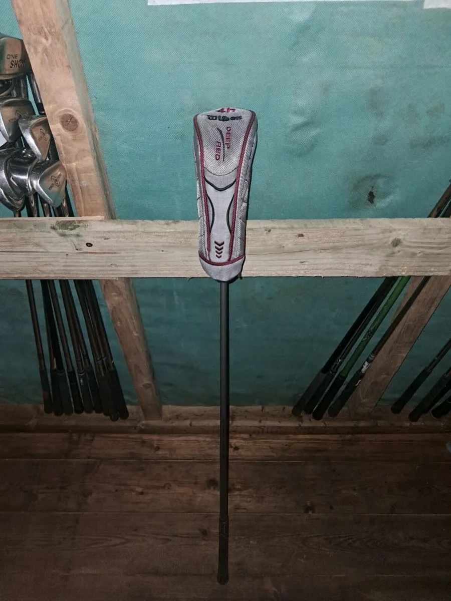 Wilson deep red Hybrid - Image 1