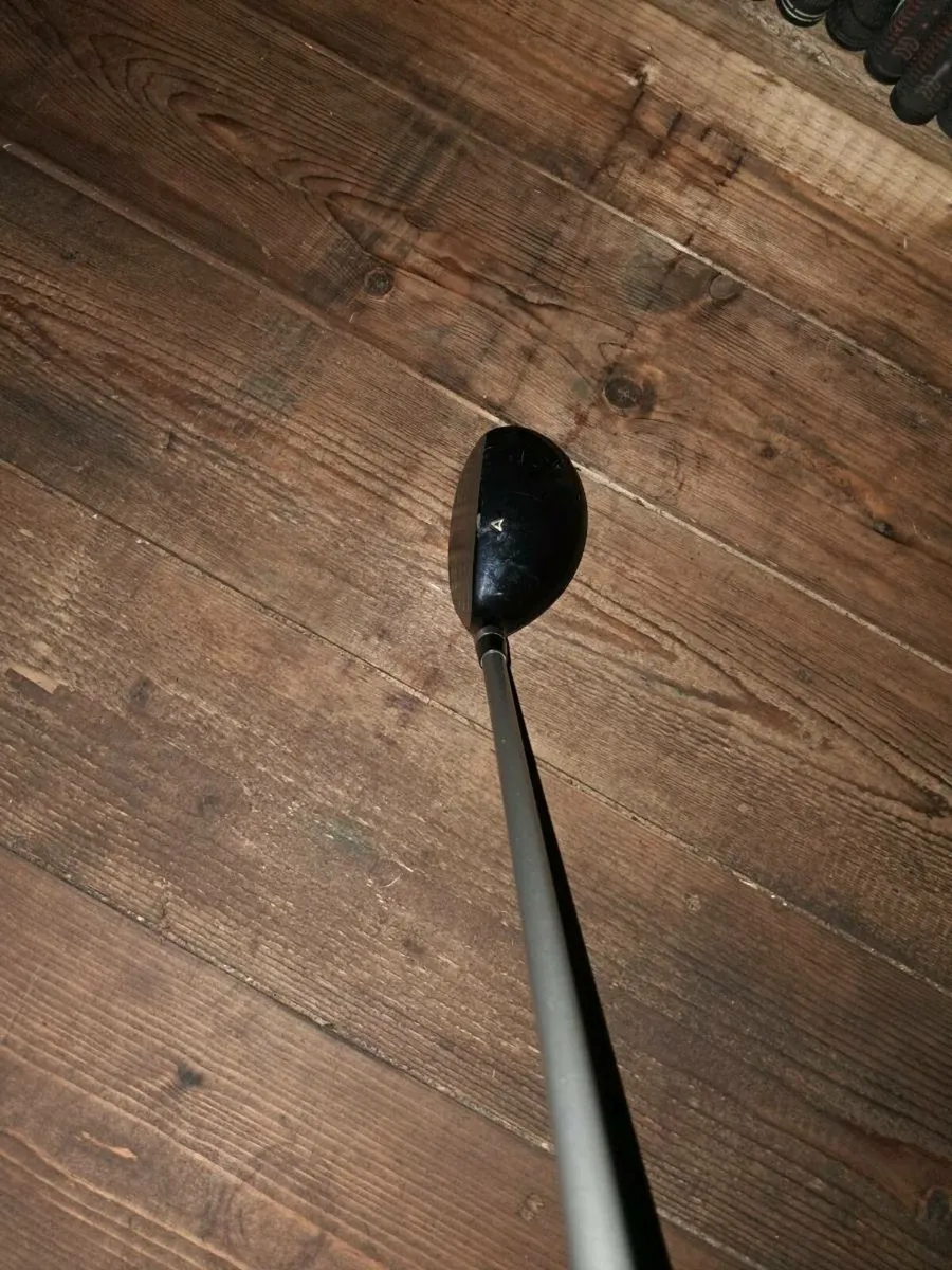 Wilson deep red Hybrid - Image 3