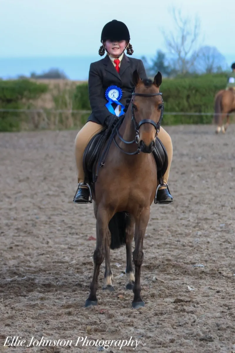 Pony - Image 4