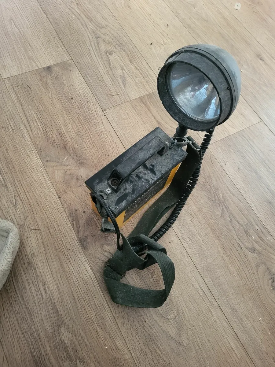 Hunting lamp
