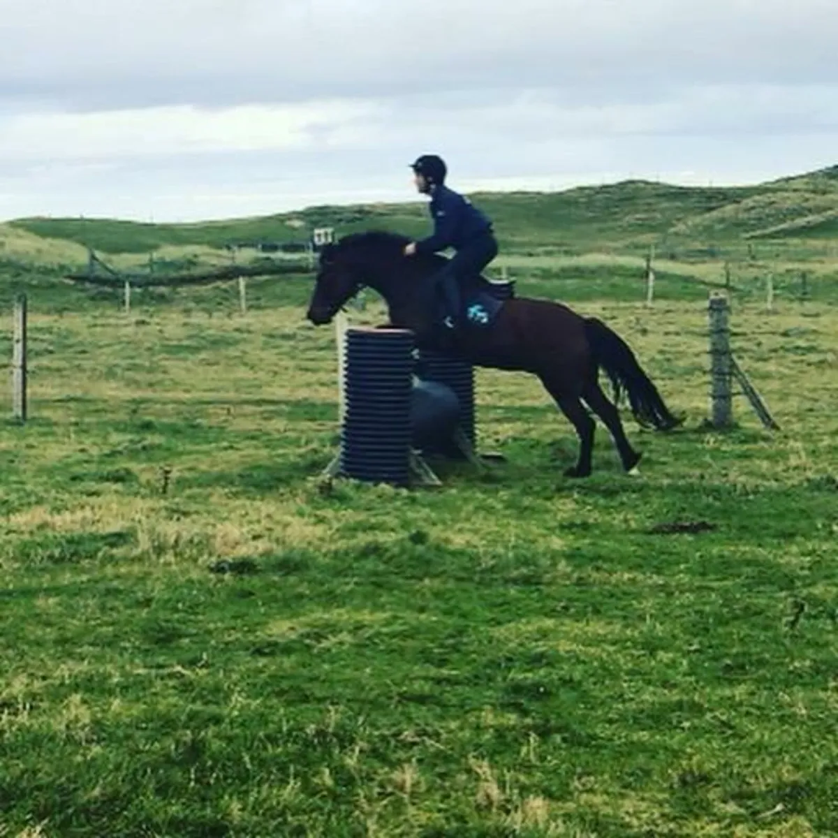 14.2 connemara mare - Image 3