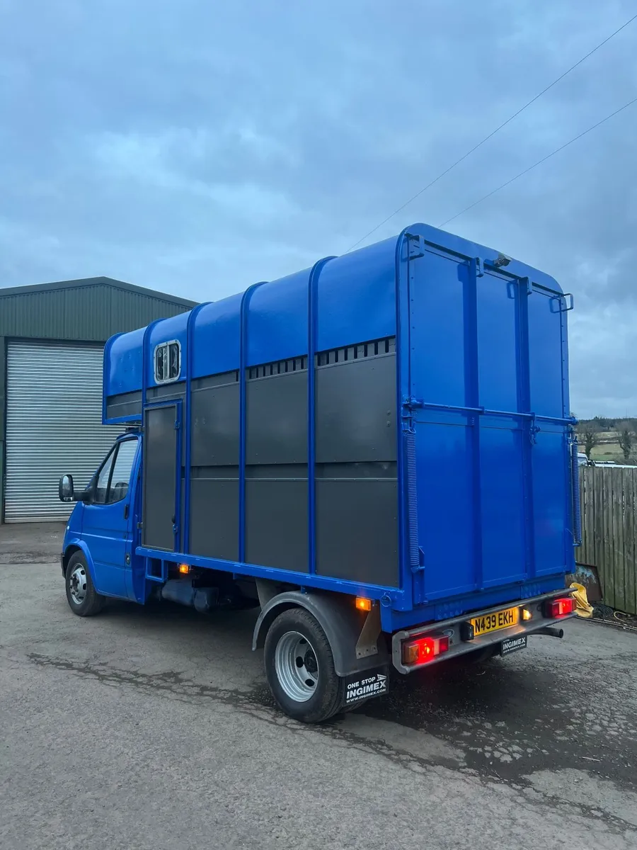 1996 transit horse box - Image 2