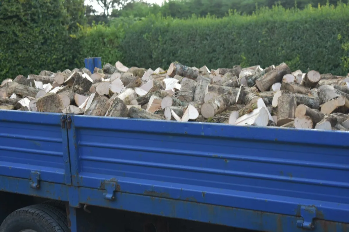 Firewood - Image 3
