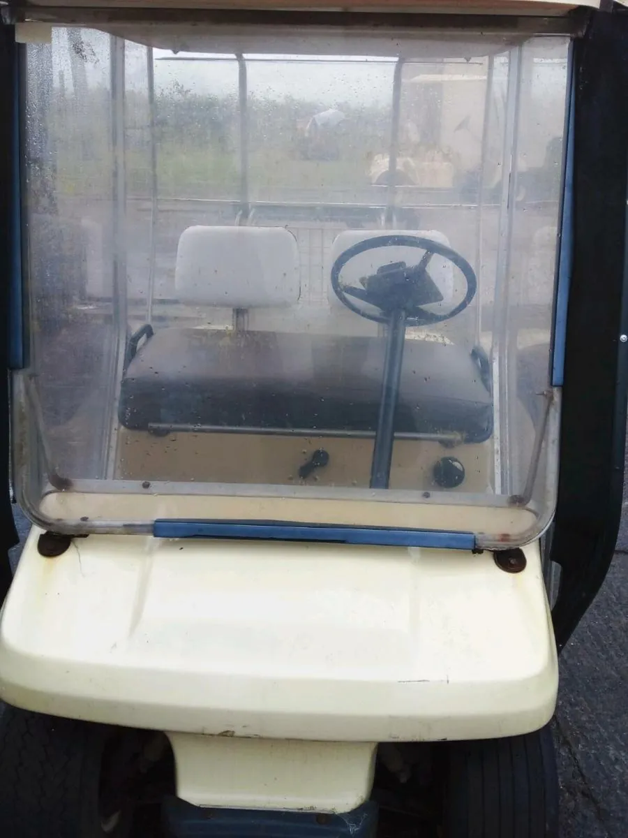 Golf buggies - Image 1