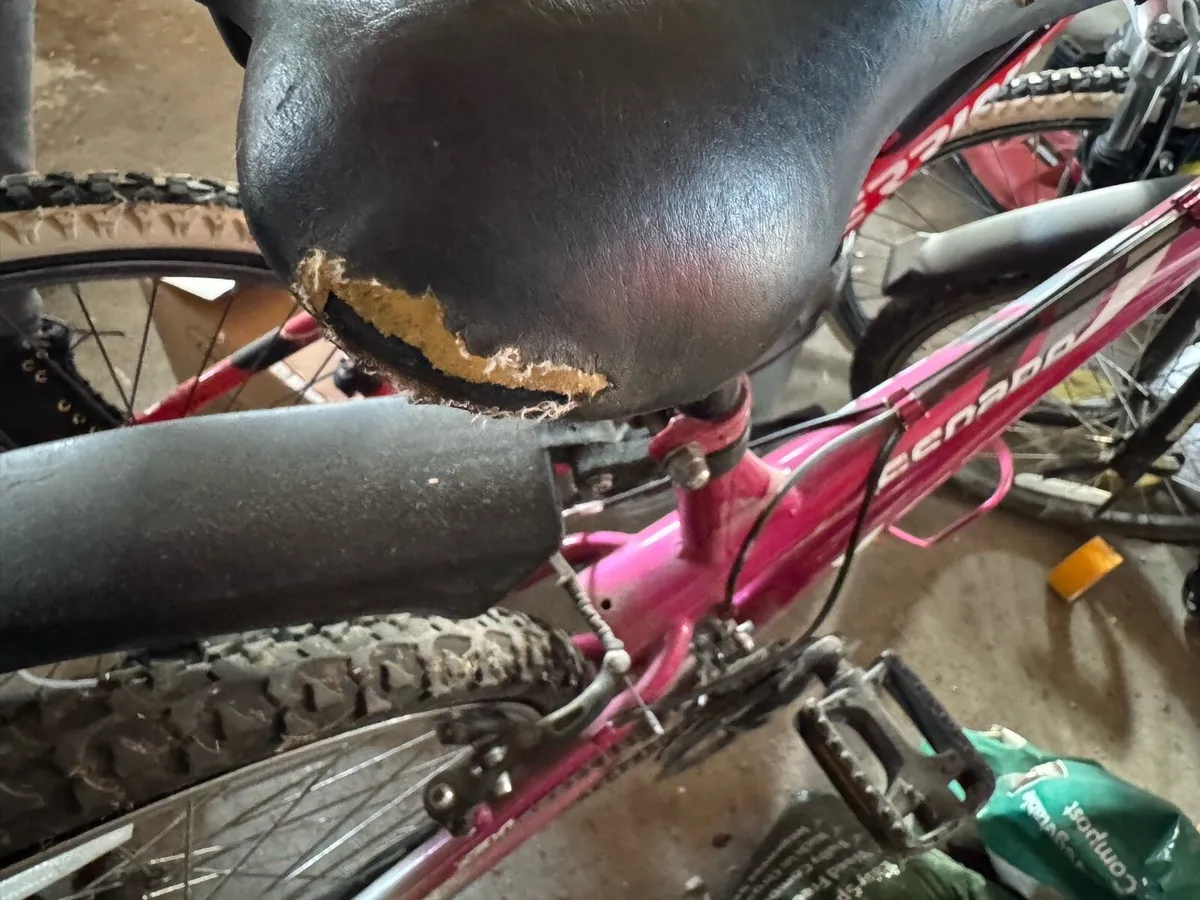 Kids bike - Image 3