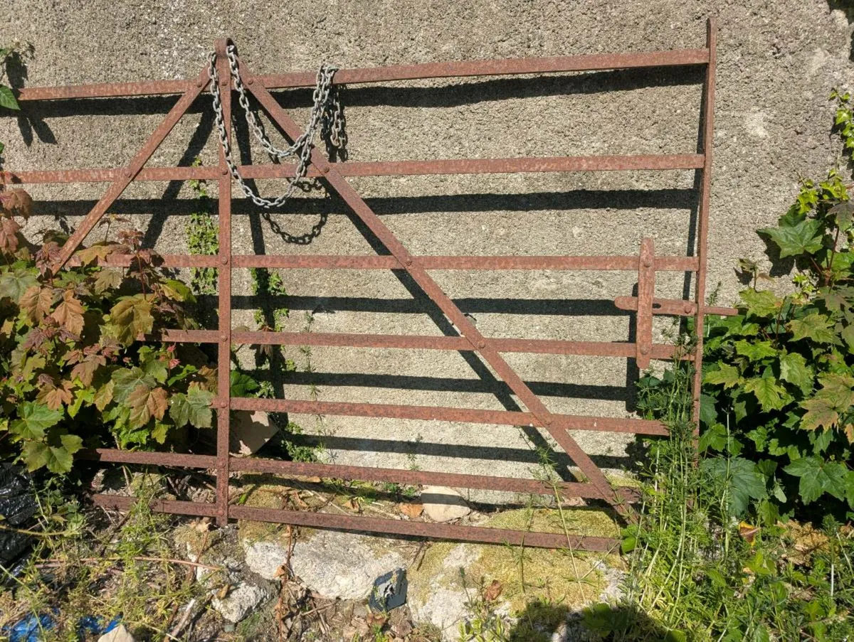 Cast Iron Antique Gate - Image 1