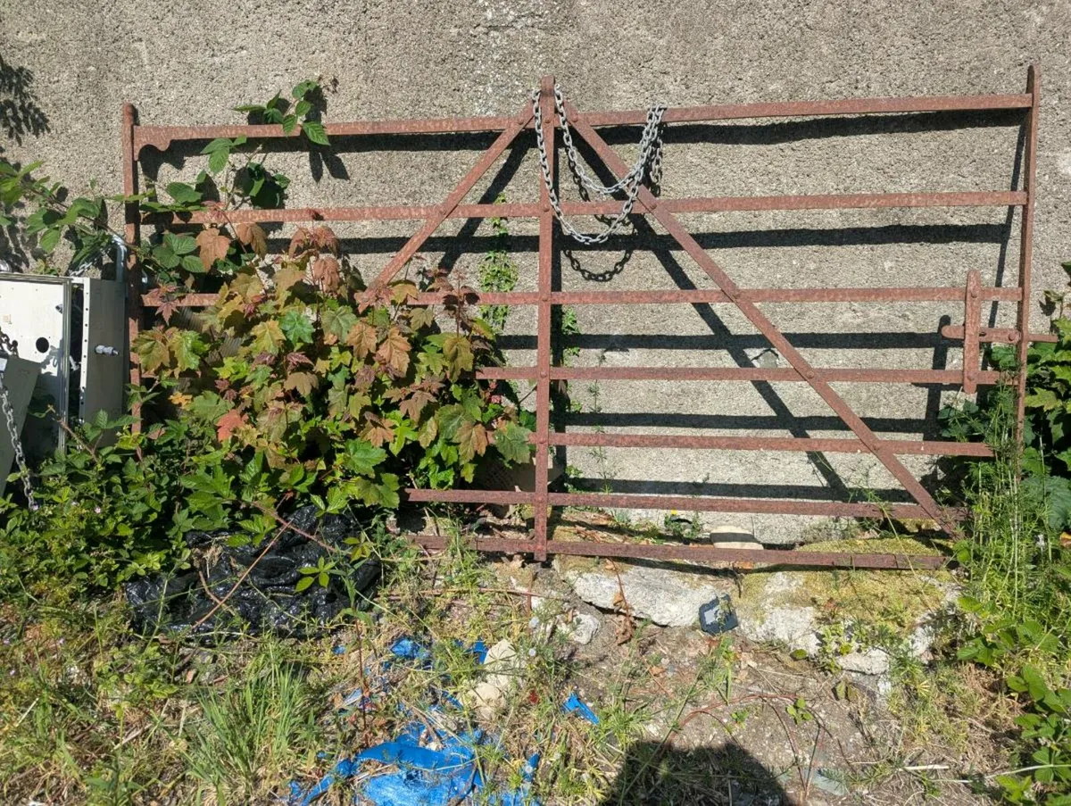 Cast Iron Antique Gate - Image 2