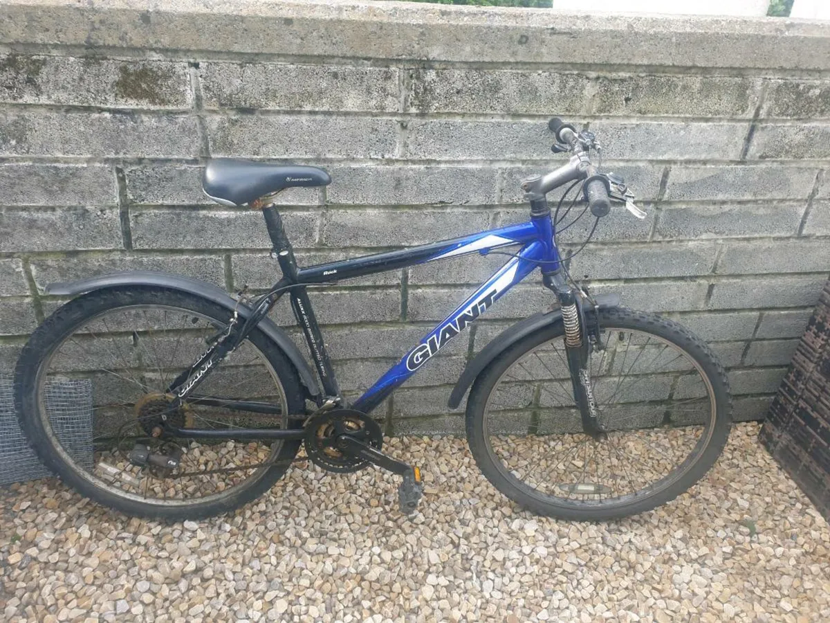 ADULTS BIKE - Image 2