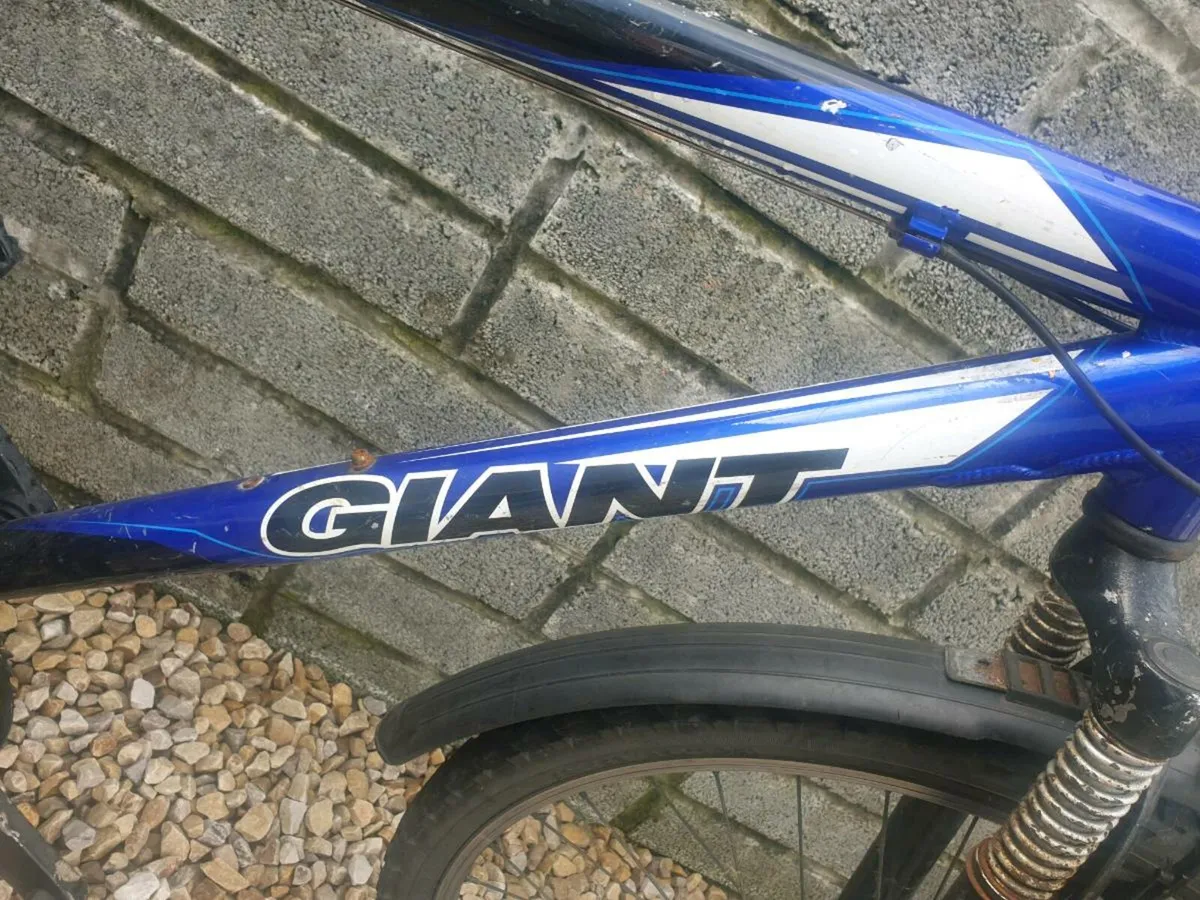 ADULTS BIKE - Image 3