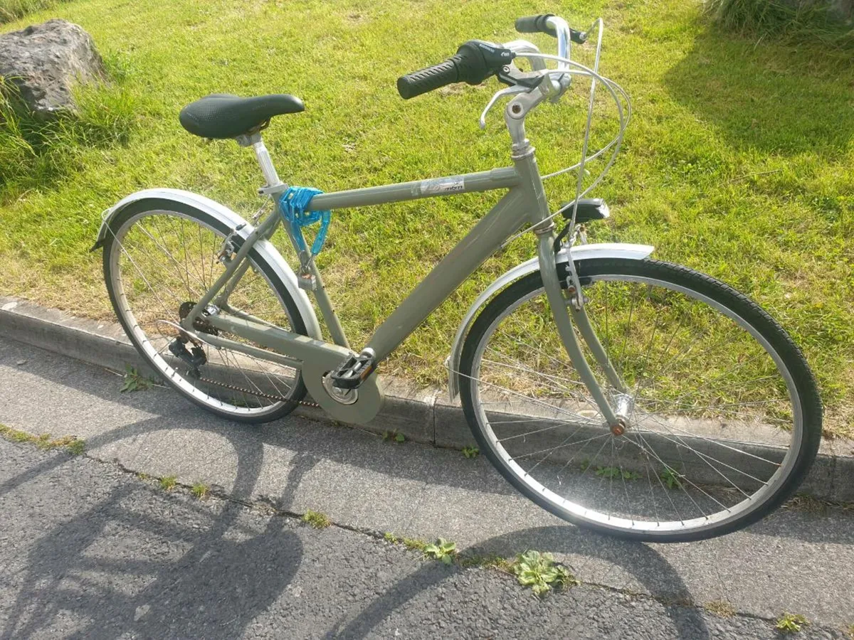 ADULTS BIKE - Image 1