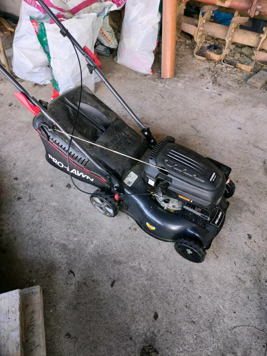 Push lawnmower - Image 1