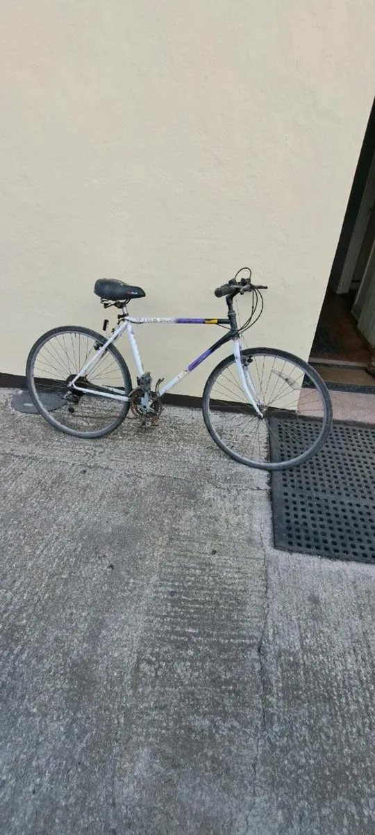 Raleigh Pioneer...Bmx Childs mountain bike - Image 1