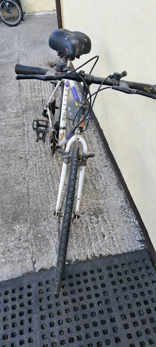 Raleigh Pioneer...Bmx Childs mountain bike - Image 2