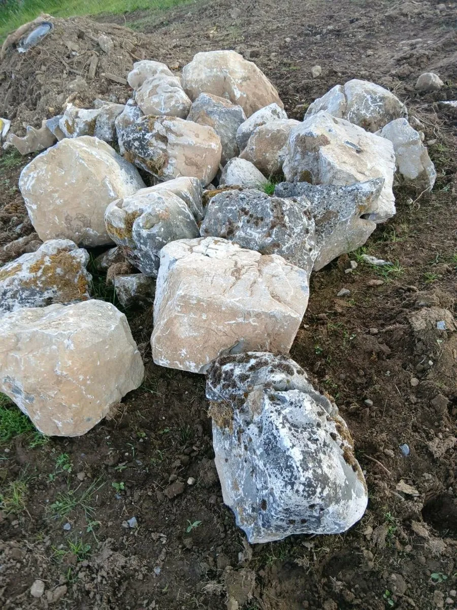 Limestone - Image 1