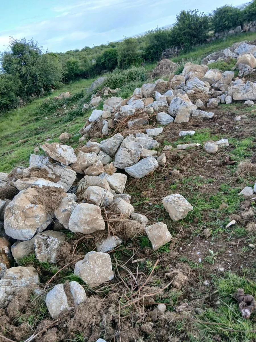 Limestone - Image 3