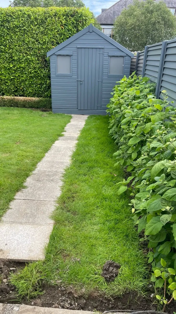 Lawn Turf just €2 per roll - Image 1