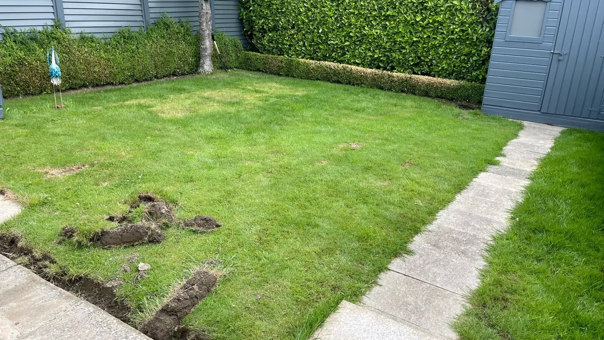Lawn Turf just €2 per roll - Image 2