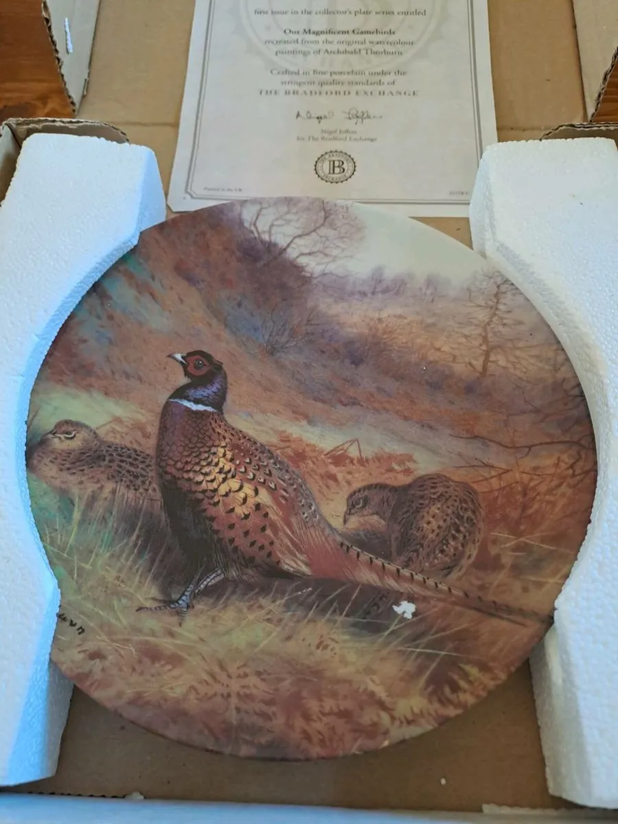 Pheasant in an Autumn Wood plate - Image 2