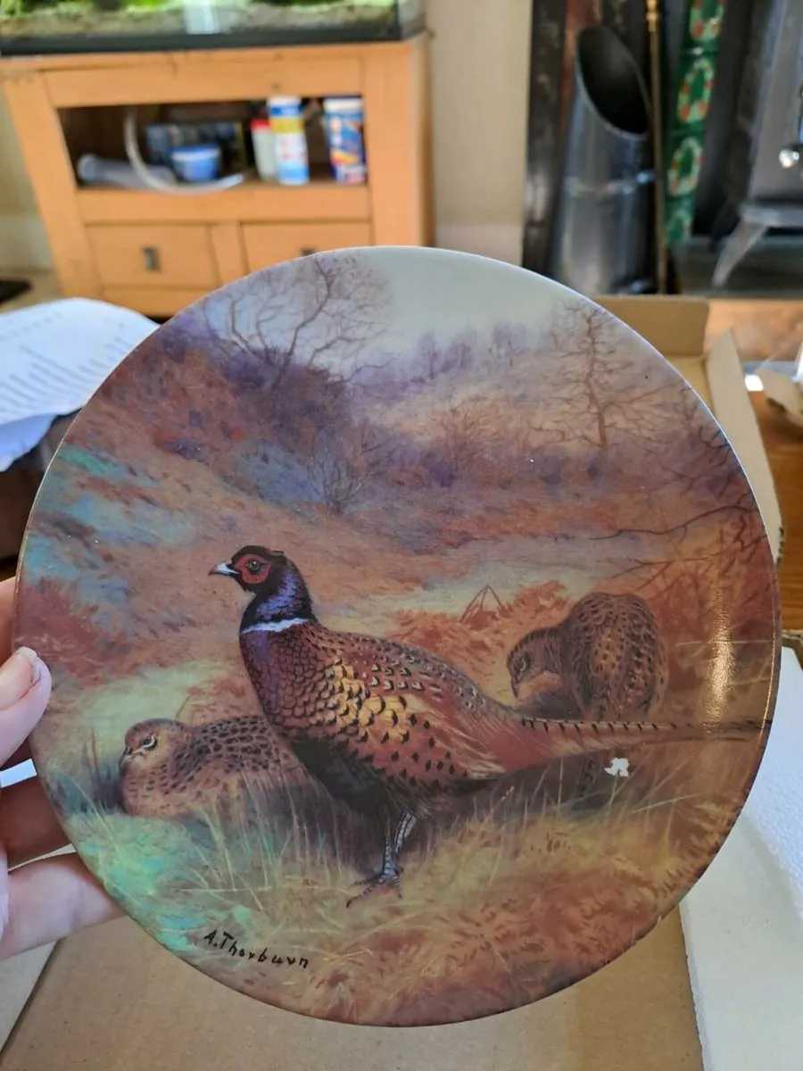 Pheasant in an Autumn Wood plate - Image 3