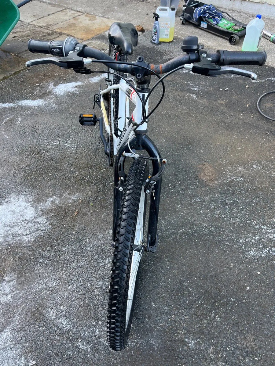Bicycle - Image 4