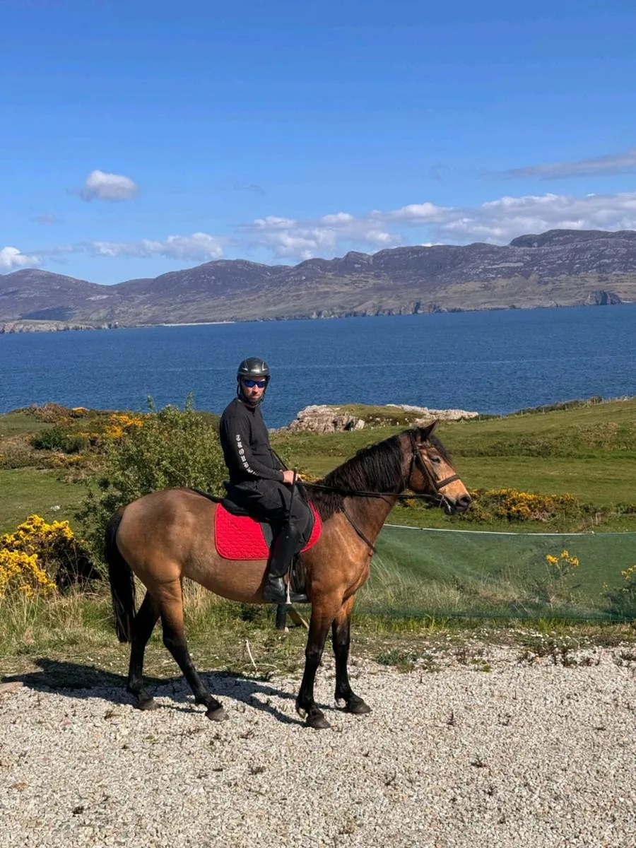 ☘️☘️DUN FILLY ☘️☘️ - Image 1